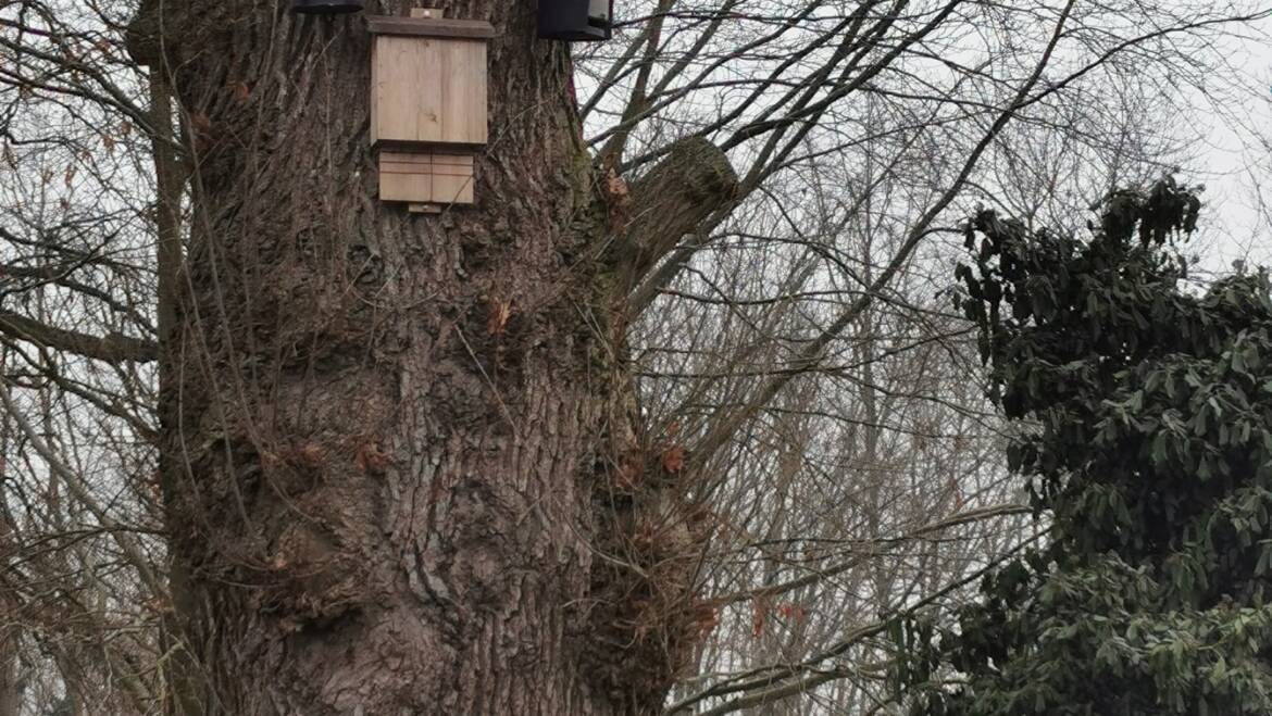 Erfolgreiche Spendenaktion – Aktiver Naturschutz für den Golfplatz